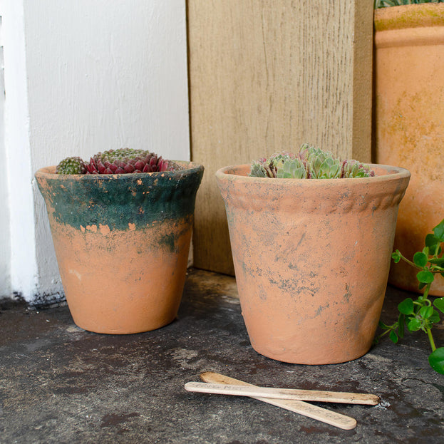 Rustic Aged Lacepot Plant Pot (7138835791932)