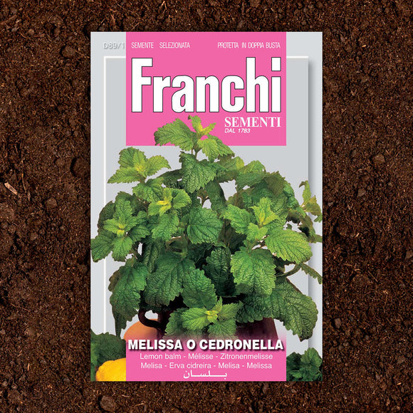 Lemon Balm Herb Seeds (7107932487740)