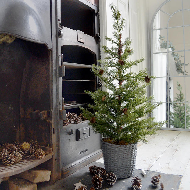 Christmas Pine Tree in Basket (4650059792444)
