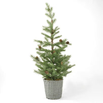 Christmas Pine Tree in Basket (4650059792444)