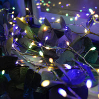 Colour Changing Cluster String Lights (4652493897788)