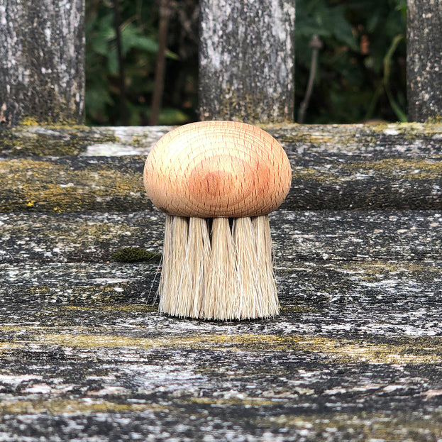 Mushroom Brush (4649121939516)