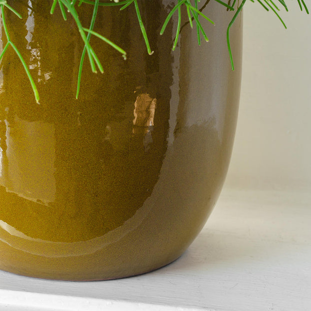 Mustard Glazed Indoor Plant Pot (7088137240636)