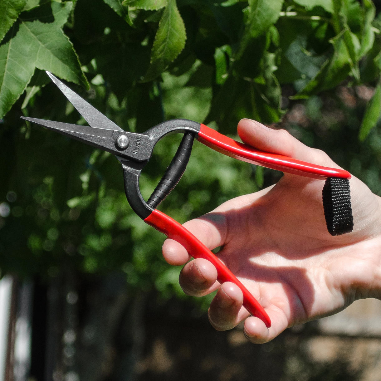 Buy Japanese Forged Snips — The Worm that Turned - revitalising your ...
