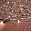 Buy Warm White Outdoor Pin Lights — The Worm that Turned - revitalising ...