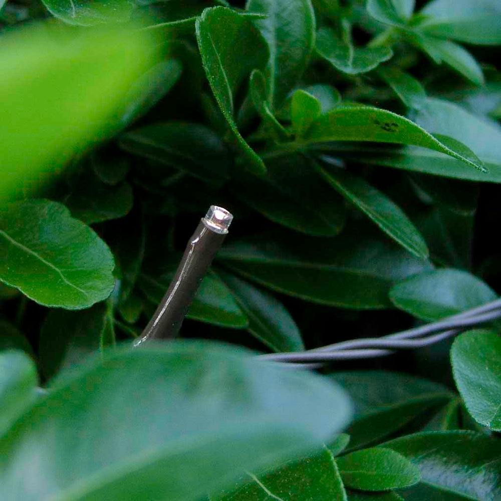 Buy Warm White Outdoor Pin Lights — The Worm that Turned - revitalising ...