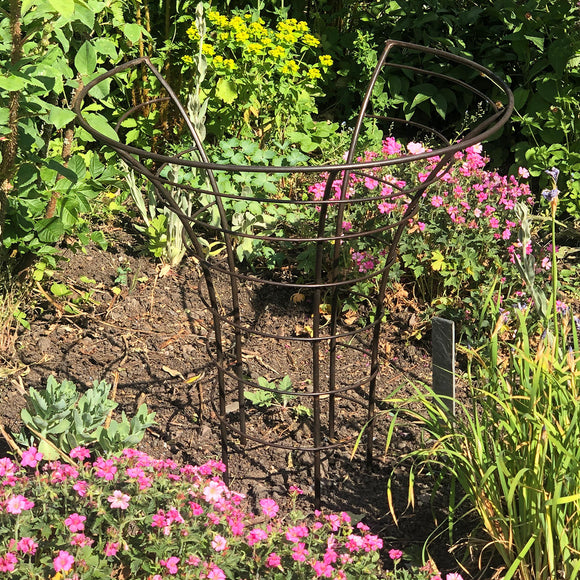 Peony Metal Plant Frame (4652502384700)