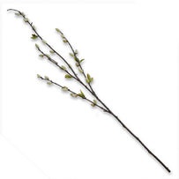 Faux Pussy Willow (4649462497340)