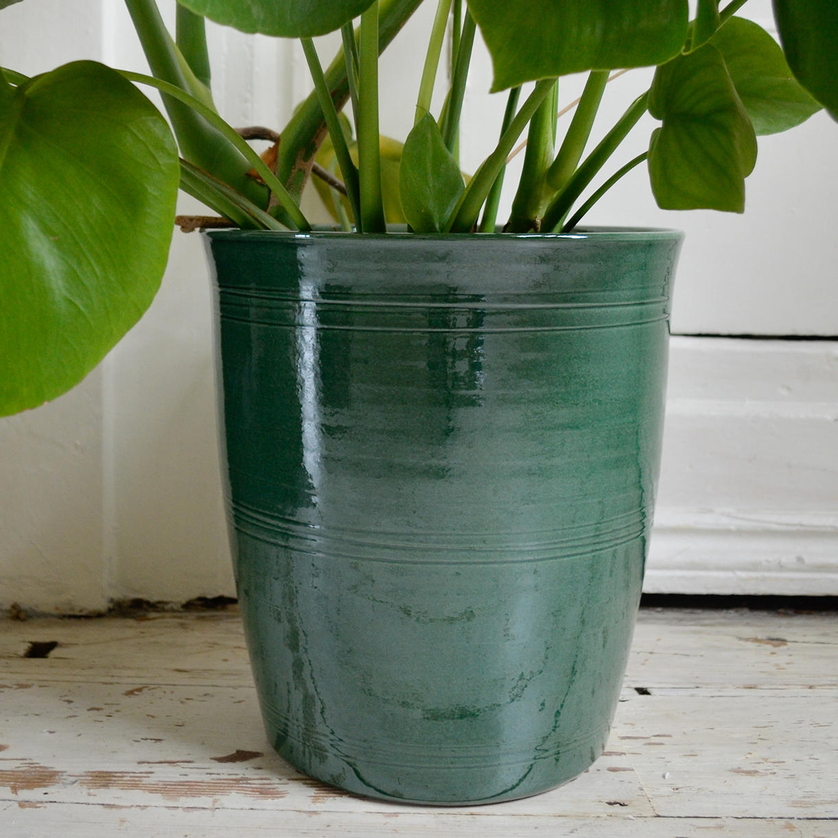 large glazed indoor plant pots Buy Rich Green Glazed Indoor Pots — The Worm that Turned