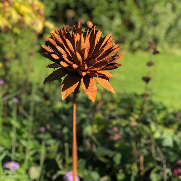Rusted Cornflower (4651953913916)