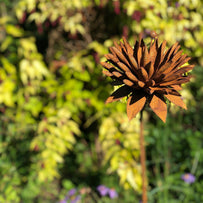 Rusted Cornflower (4651953913916)