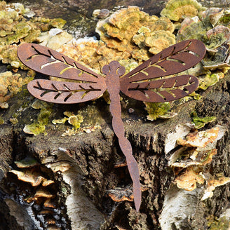 Rusty Dragonfly in Flight (4649487728700)