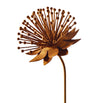 Rusted Echinacea Flower (4651953586236)