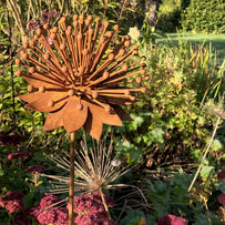 Rusted Echinacea Flower (4651953586236)