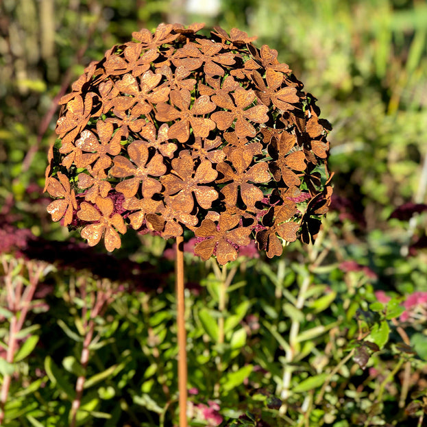 Rusted Hydrangea Flowers (4651953291324)