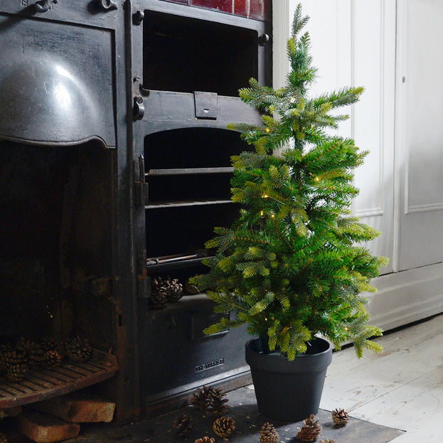 Saint Moritz Pine LED Battery Lit Christmas Tree (4650123952188)