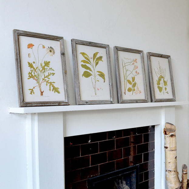 Set of 4 Framed Botanical Prints No7 (4653374537788)
