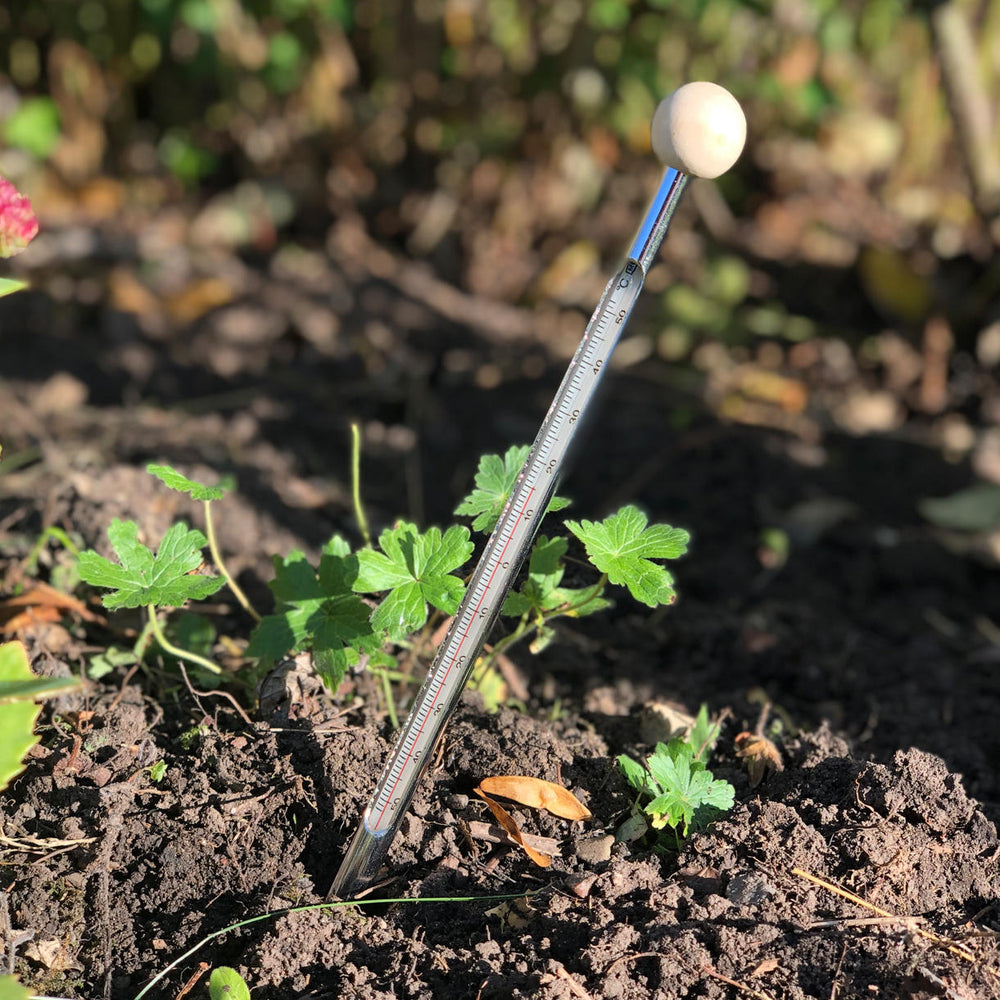 A soil thermometer embedded in the ground