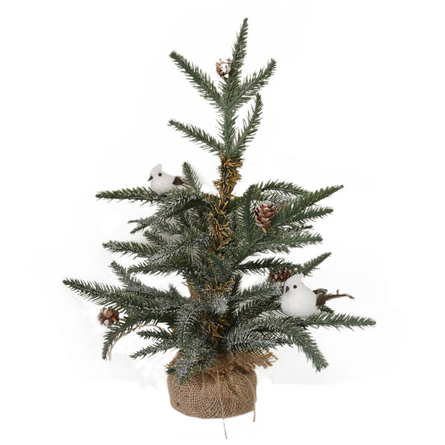 Spruce Tree with Winter Birds (4649564504124)