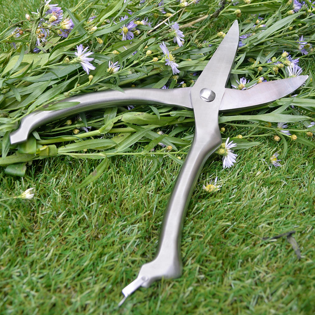 Buy Stainless Steel Flower Scissors — The Worm that Turned ...