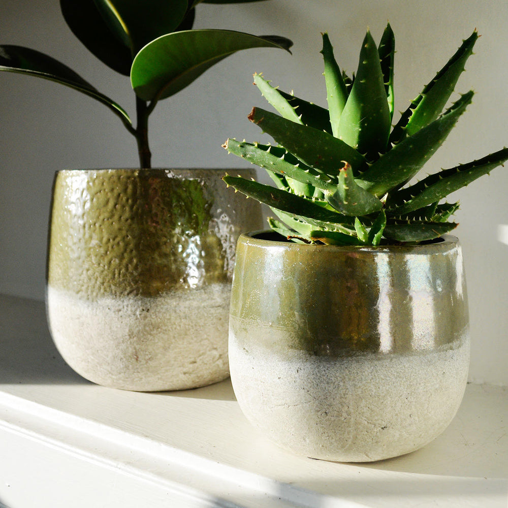 gold plant pot uk Serax Dip Pot, Medium, Green