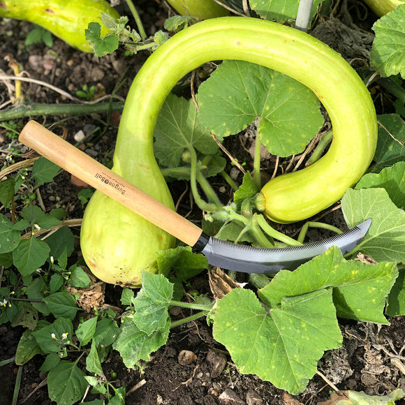 Vegetable Harvesting Sickle (4695312171068)