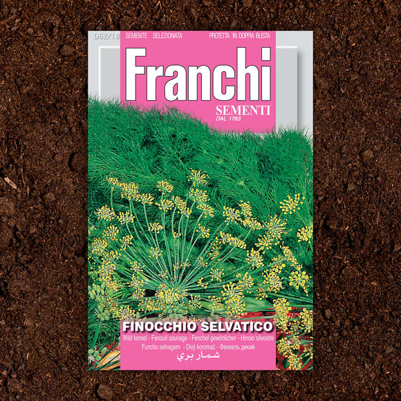 Wild Fennel Herb Seeds (7103221039164)