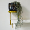Buy Window Sill Tables — The Worm that Turned - revitalising your ...