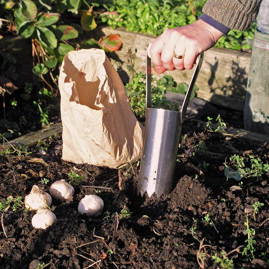 A cylindrical bulb planter next to garlic bulbs