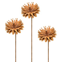 Rusted Aster Flower (6584054743100)