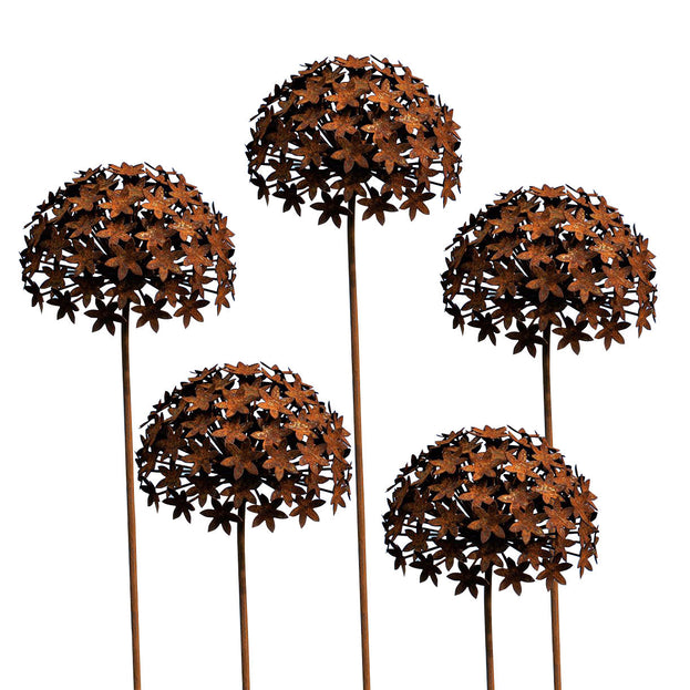 Rusted Allium Flower (6584053432380)