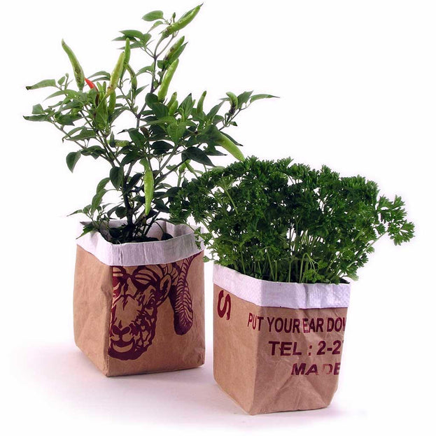 Paper Bag Herb Pots - Set of 2 (4647947501628)