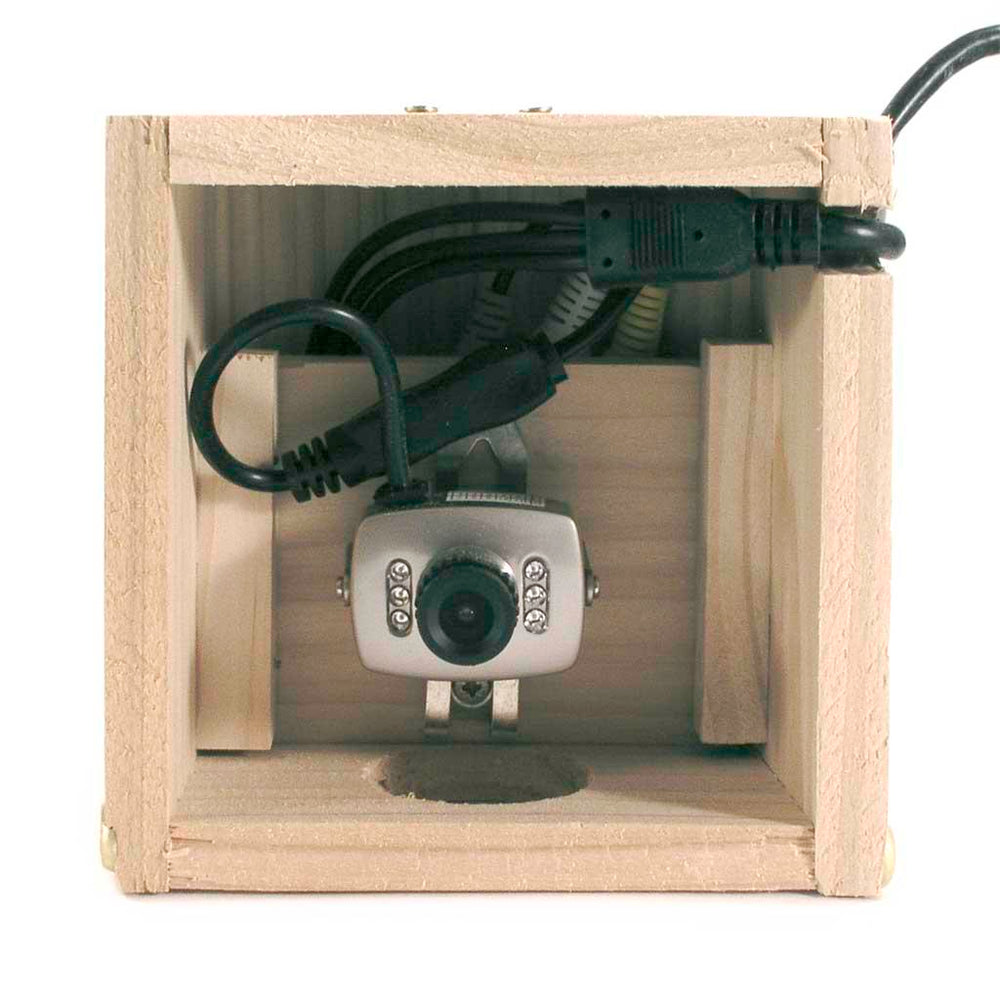 Buy Camera Nest Box — The Worm that Turned - revitalising your outdoor ...