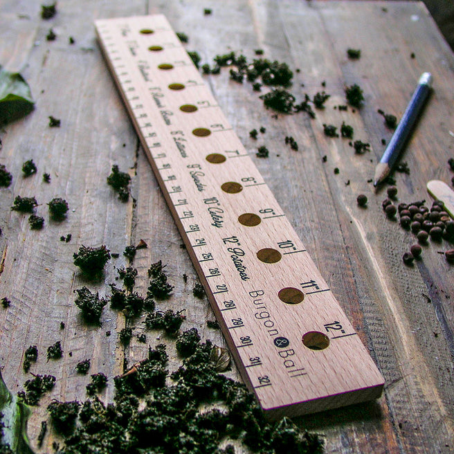 Buy Small Seed Planting Ruler — The Worm that Turned - revitalising ...