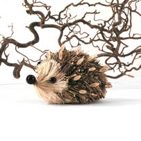 Twiggy the Hedgehog (4648585658428)