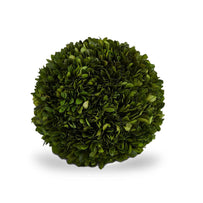 Preserved Topiary Balls (6555913158716)