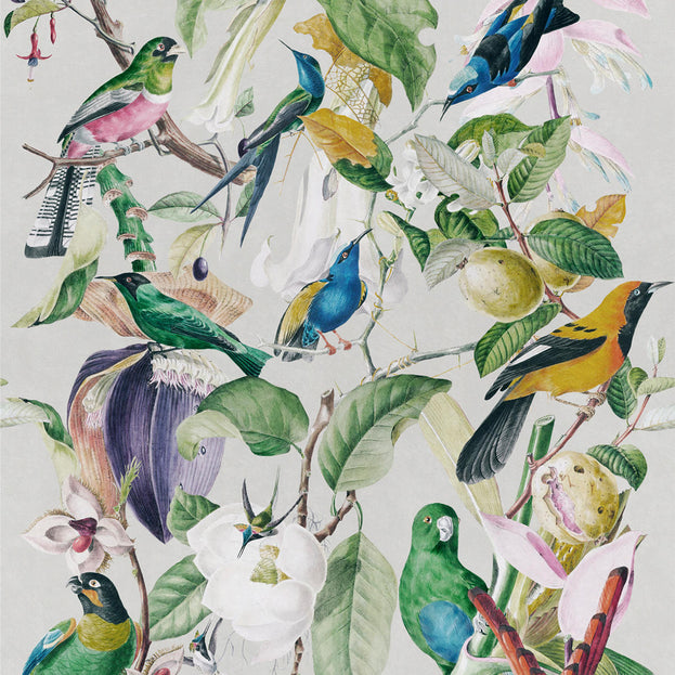 Birds Feature Wallcovering (4651962761276)