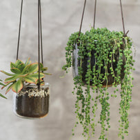 Recycled Glass Hanging Planters (4650487283772)