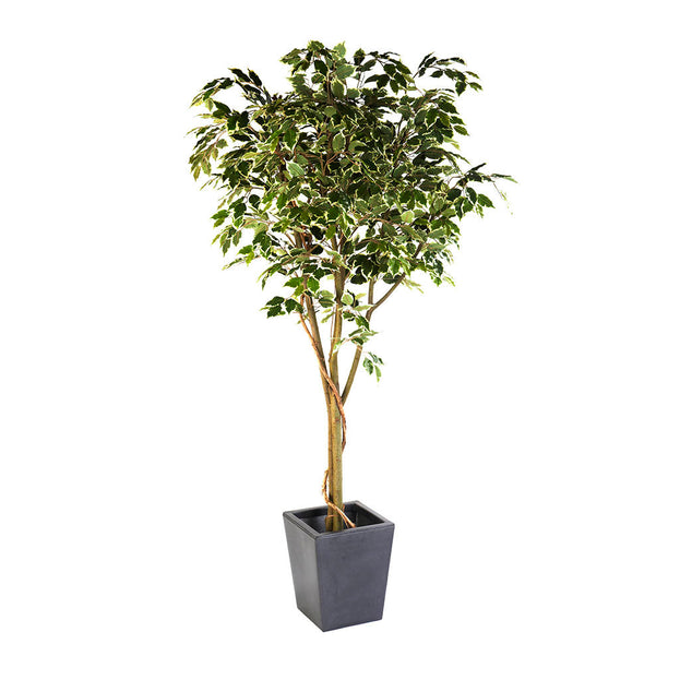 Faux Ficus Benjamina Vine (4649556541500)