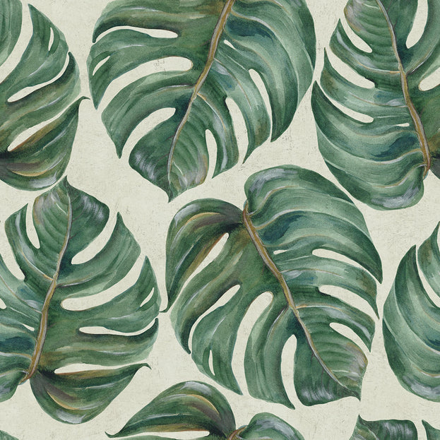 Tropical Leaf Feature Wallcovering (4651961679932)