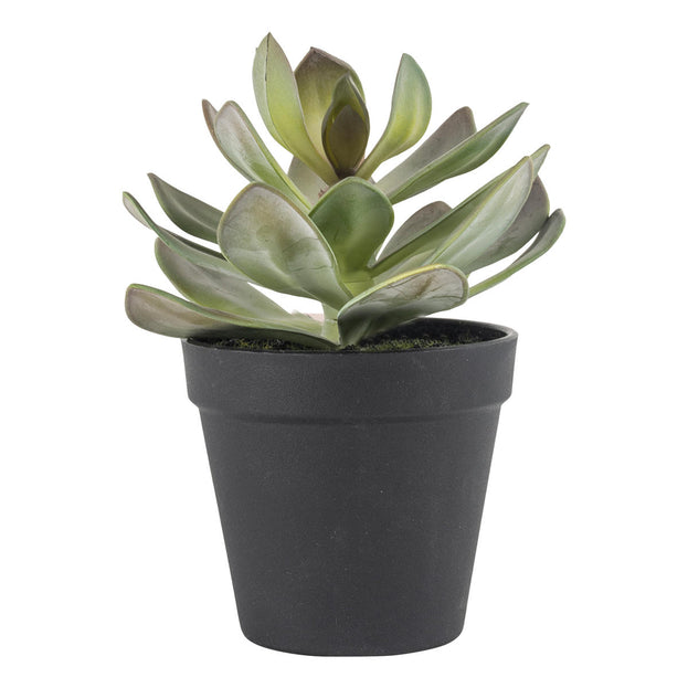 Small Faux Succulent in pot (4736876642364)