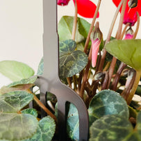 Plant Pot Stem Decoration - Robin on a fork (7161416056892)
