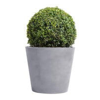 Conical Eco Planters (4651897356348)