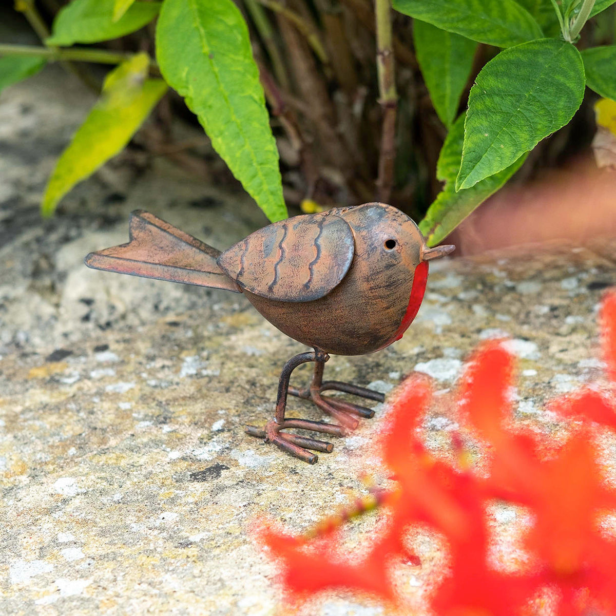 Buy Tin Robin — The Worm that Turned - revitalising your outdoor space