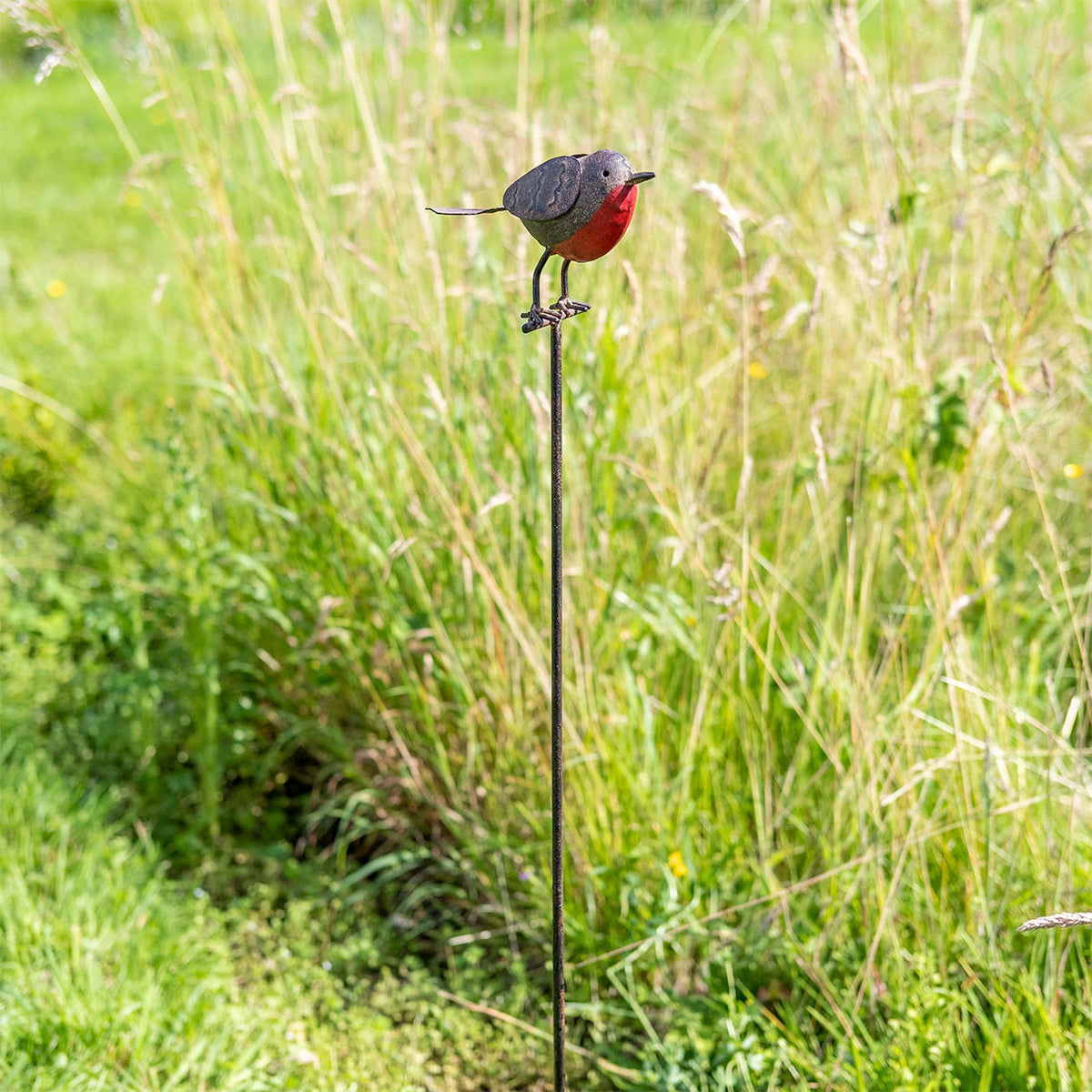 Buy Tin Robin on Stake — The Worm that Turned - revitalising your ...