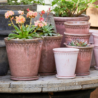 pink glazed plant pot Buy Lacepot Glazed Plant Pot Antiqued Dusty Rose — The Worm that Turned