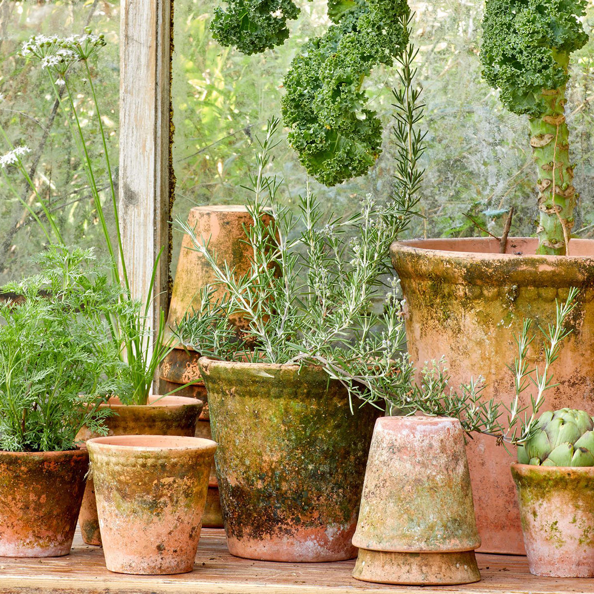 rustic plant pots Buy Rustic Aged Lacepot Plant Pot — The Worm that Turned