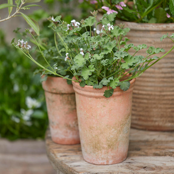 Merle Natural Clay Plant Pot (7143677329468)