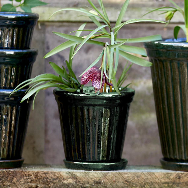 Buy Ribbed Glazed Plant Pot — The Worm that Turned - revitalising your ...