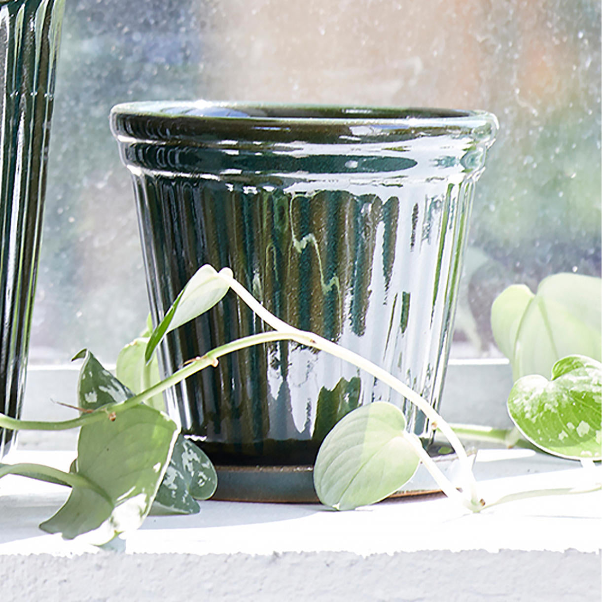 Green Pot Ribbed Small Buy Ribbed Glazed Plant Pot — The Worm that Turned - revitalising your ...